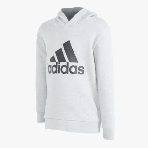 adidas Boys Bl Hd Hoodie Grey